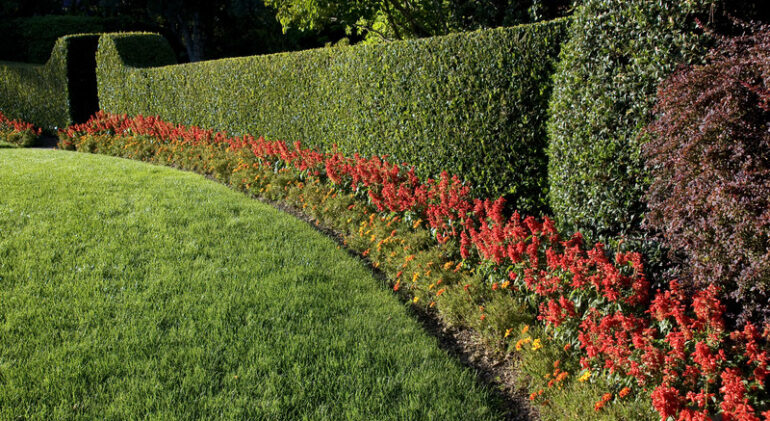 Expertly trimmed hedges and vibrant flower beds in a well-maintained garden showcase professional landscaping skills.